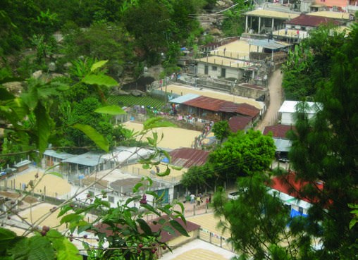 Kaffeedorf im Hochland von Guatemala: Plantage und Region