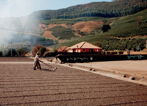 Trocknung der Kaffeekirschen auf dem Patio, Sul de Minas: Plantage und Region