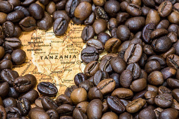 Tansania Arabica AA North, Rohkaffee und Karte: Plantage und Region